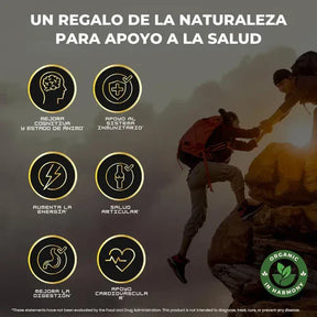 COMBOS GOMAS SHILAJIT
